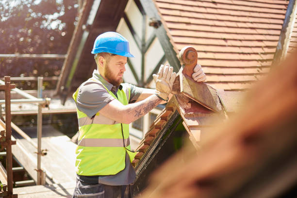 Best Storm Damage Roof Repair  in Clearwater, FL
